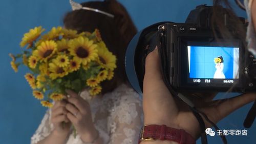 务实为民 心系发展的影像推手——记基层工作队从「打字复印」办起的事